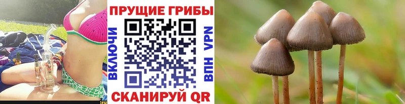 Псилоцибиновые грибы Magic Shrooms  ОМГ ОМГ как войти  Ульяновск 